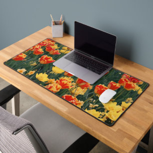Mer des fleurs de Firey