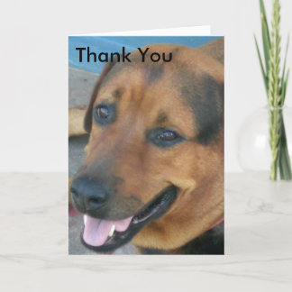 Merci