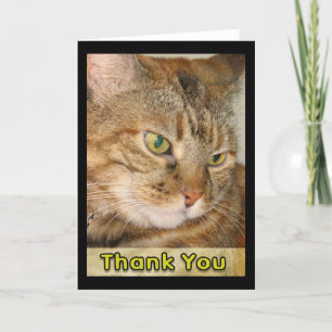 merci