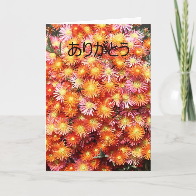 Merci あ り が う en japonais (Devant)