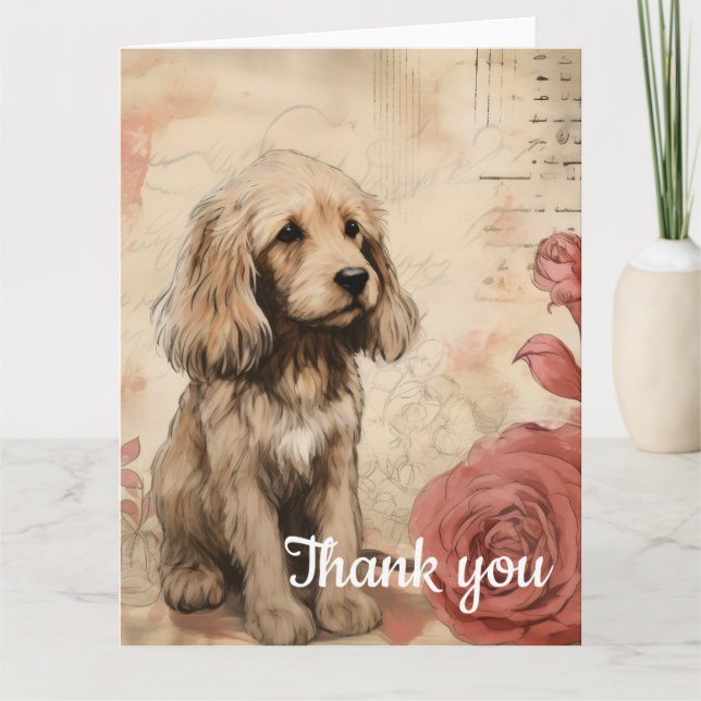 Merci 16 (Devant)