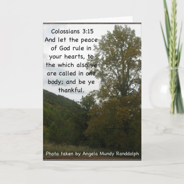 Merci à mon ami (Devant)