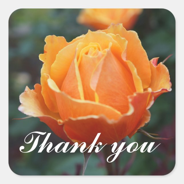 Merci À propos du Rose face #1 Stickers (Devant)