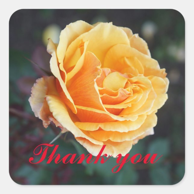 Merci À propos du Rose face #3 Stickers (Devant)