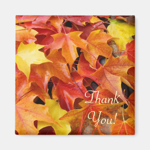 Merci ! aimant Feuille d'arbre automne