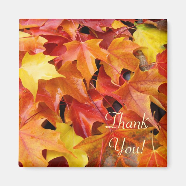 Merci ! aimant Feuille d'arbre automne (Devant)