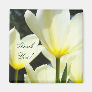 Merci ! aimant Jaune Fleur de Tulipe Blanche Patro