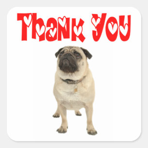 Merci Autocollant / Étiquette de salutation Chien