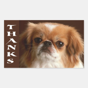 Merci Autocollants de salutation Chien Pékinois