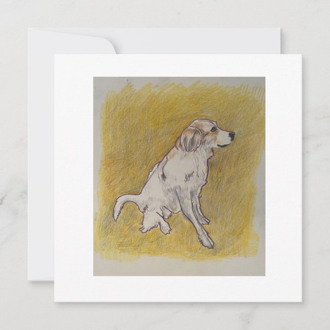 Merci Beaucoup ou Merci (Devant)