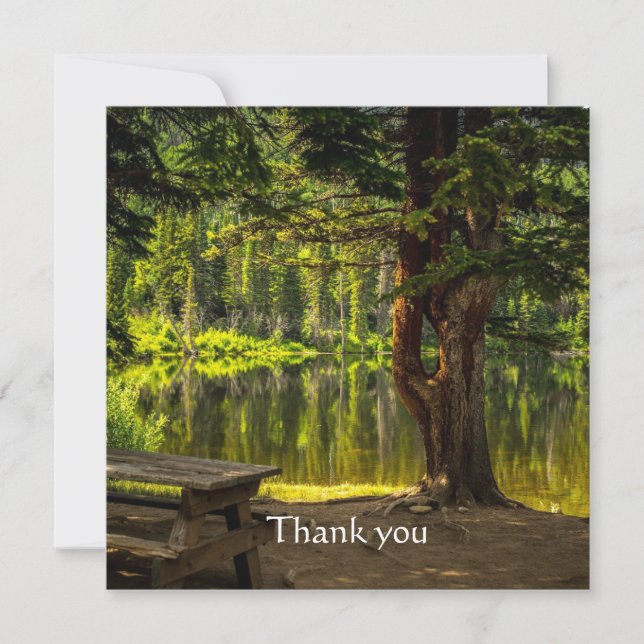 Merci Belle Matin Lumière Sunrise Écriture (Devant)