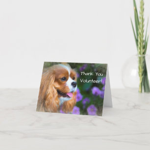 Merci Bénévole Cavalier King Charles Spaniel
