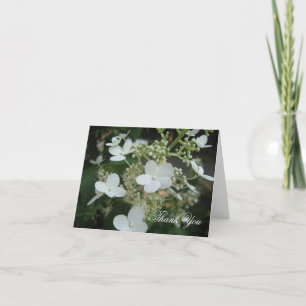 Merci blanc d'hortensia