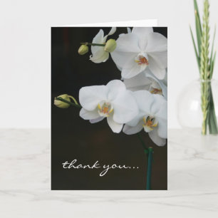 Merci blanc d'orchidées