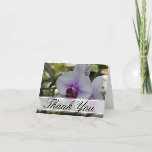 Merci blanc et pourpre élégant d'orchidées