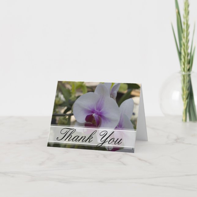 Merci blanc et pourpre élégant d'orchidées (Devant)