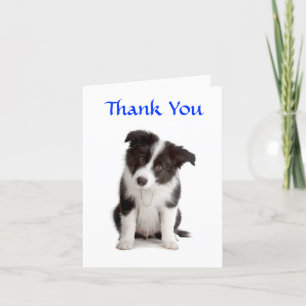 Merci Bordure Collie Puppy Carte de voeux