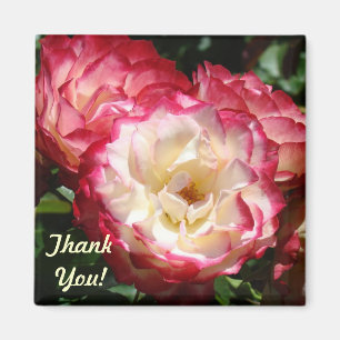 Merci ! cadeaux aimant Fleurs Rose Rose Blanche