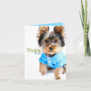 Merci Card_Yorkie