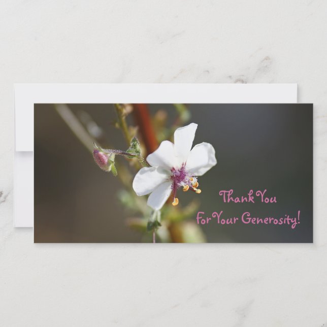 Merci, carte photo (Devant)