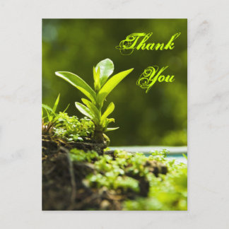 Merci - carte postale
