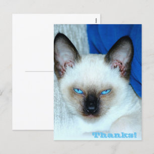 Merci Carte postale Holiday