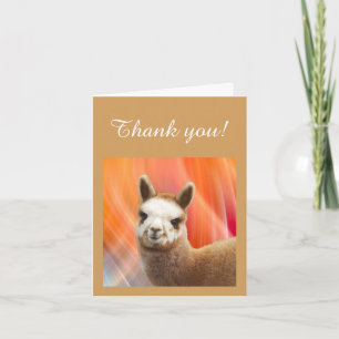 Merci Cartes de notes Alpaca Rossi