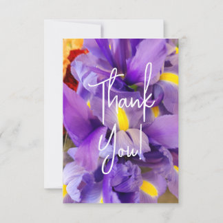 Merci Cartes Fleurs Tulipes Violettes