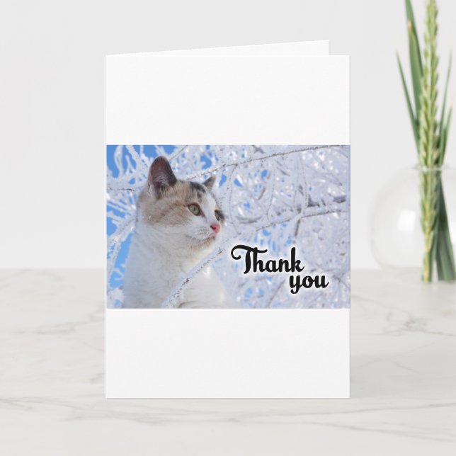Merci Cat (Devant)