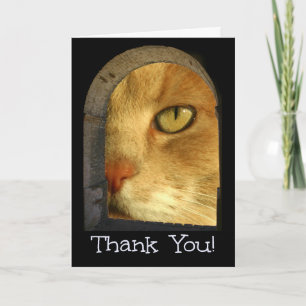 Merci Chat Cute Pour Animaux De Compagnie Carte De