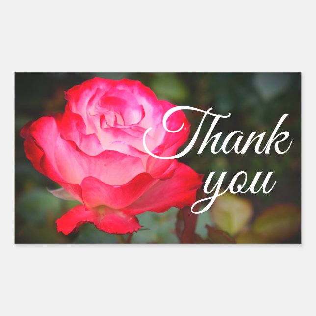 Merci Cherry Parfait Rose #3 Stickers (Devant)