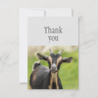 Merci Chèvre Mignonne Animal de Ferme