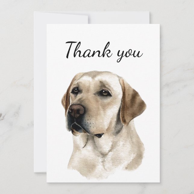 Merci Chien Animal De Compagnie Labrador Retriever (Devant)