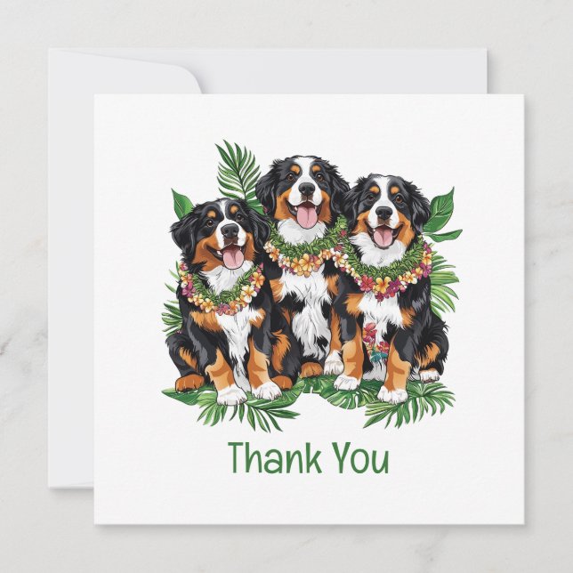 Merci Chiens de Montagne Bernois Hawaïens (Devant)