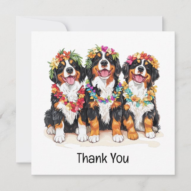 Merci Chiens de Montagne Bernois Hawaïens (Devant)