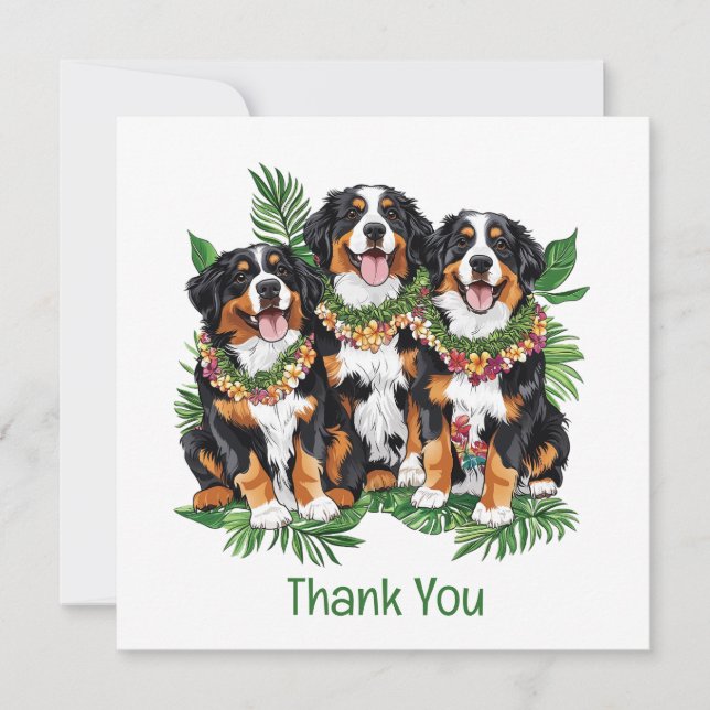 Merci Chiens de Montagne Bernois Hawaïens (Devant)