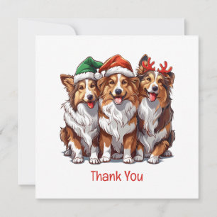Merci Christmas Shetland Sheepdogs
