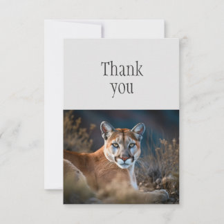 Merci Cougar Montagne Lion Chat Sauvage Mignon
