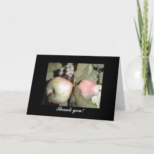 Merci d'arrangement de fruits