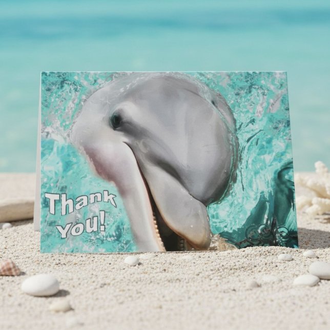 Merci Dauphin Vie marine côtière (Créateur téléchargé)