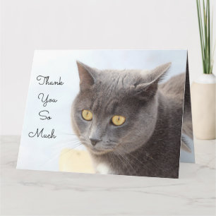 Merci de carte de chat tellement