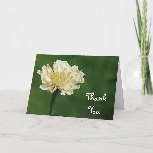 Merci de fleur blanche (Devant)