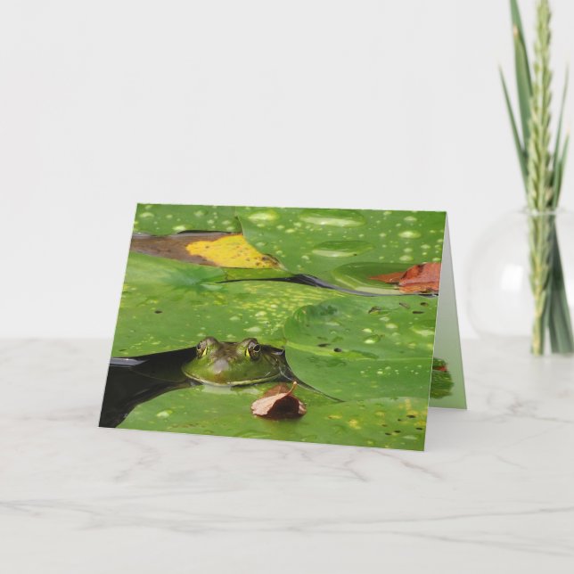 Merci de grenouilles et de coussinets Lily (Devant)