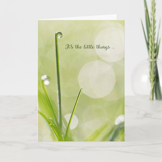 Merci de la sympathie - Débordement sur une lame d (Devant)