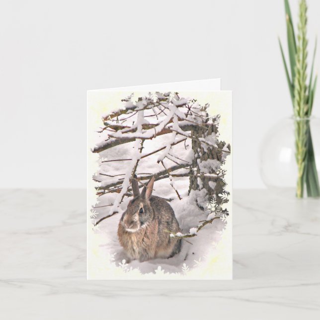 Merci de lapin de neige (Devant)