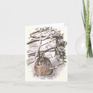 Merci de lapin de neige