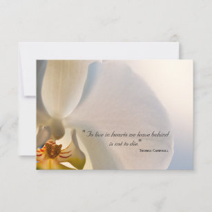 Cartes De Vœux Orchidee Blanche Zazzle Fr