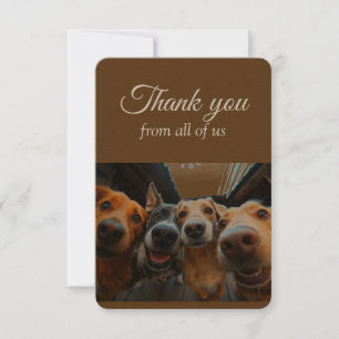 Merci De Nous Tous Groupe Fun Dogs Animaux Animaux