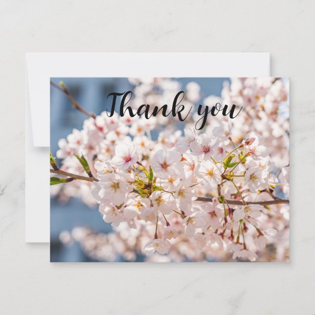 Merci de Sakura Floral de fleurs de cerisiers de p (Devant)