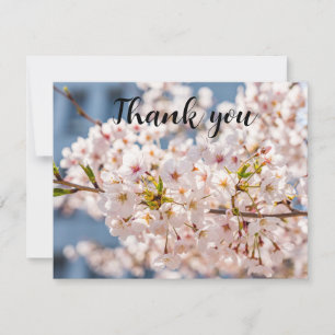 Merci de Sakura Floral de fleurs de cerisiers de p